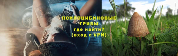 прущие грибы Верхний Тагил