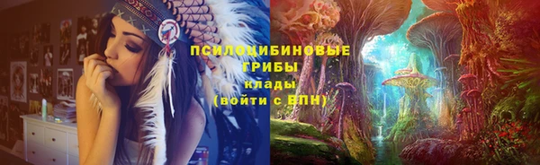 прущие грибы Верхний Тагил